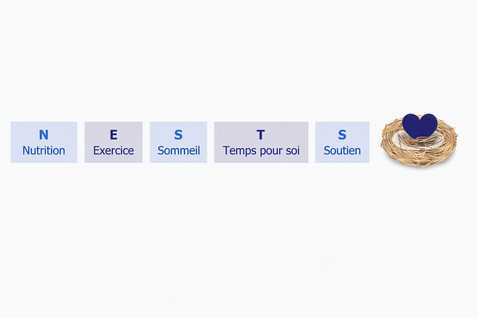 Designer.png